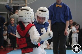 занятия каратэ для детей (254)